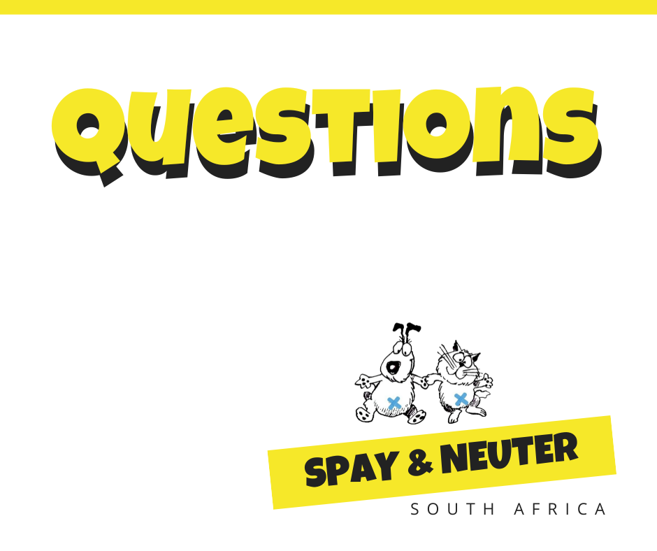 spaying and neutering

