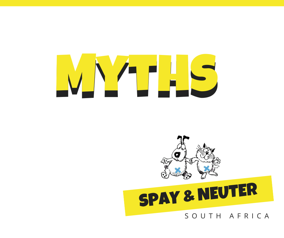 spaying and neutering