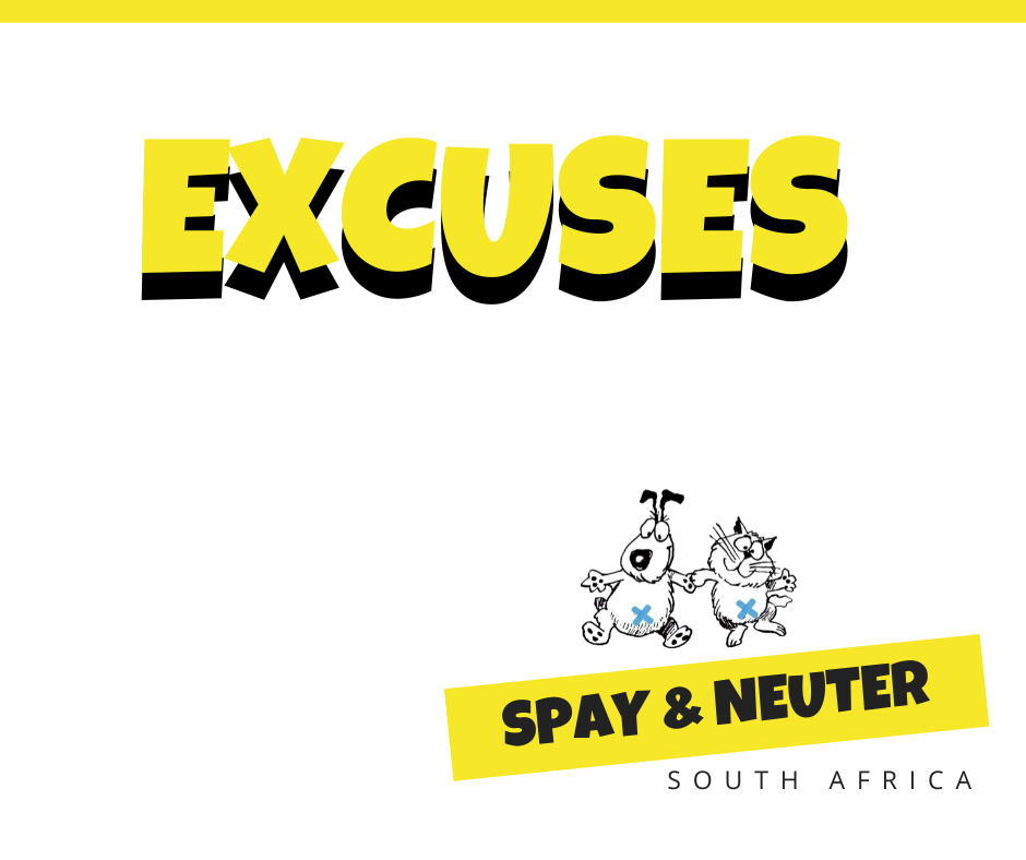 spay and neuter
