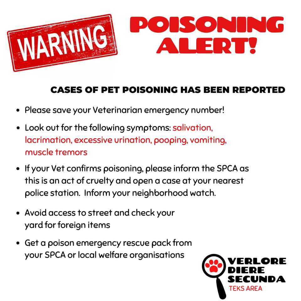 pet poisoning